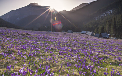 Aktualne warunki 6.04.2016 (zdjęcia)